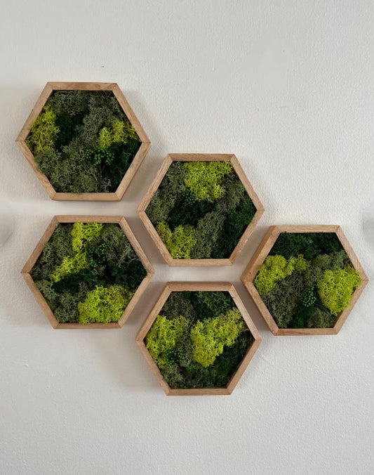 Living Moss Art Workshop