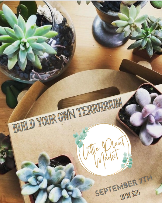 Build your own Terrarium