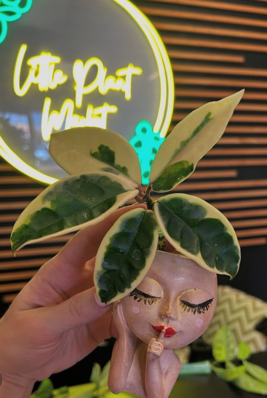 Book Your Own Sip and Pour Private Event