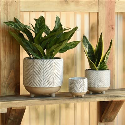 Ramos Chevron 4"