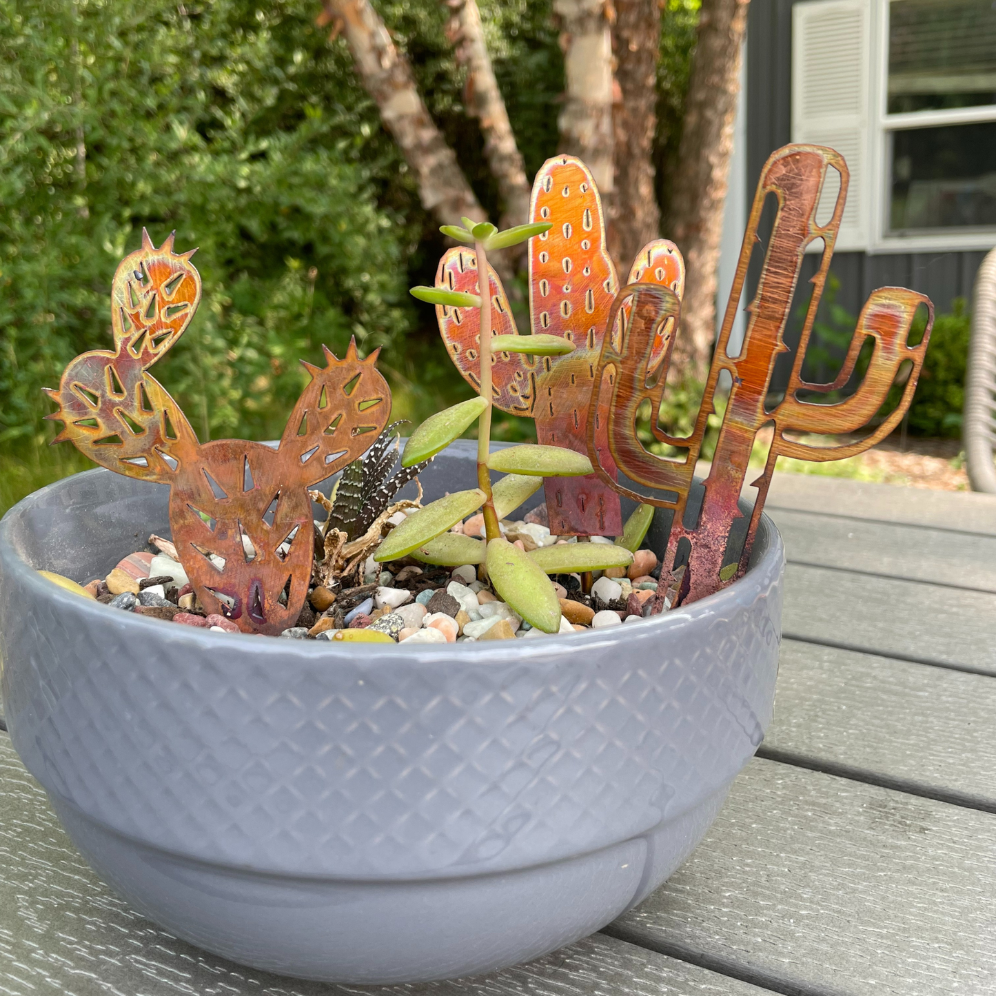 Copper Cactus