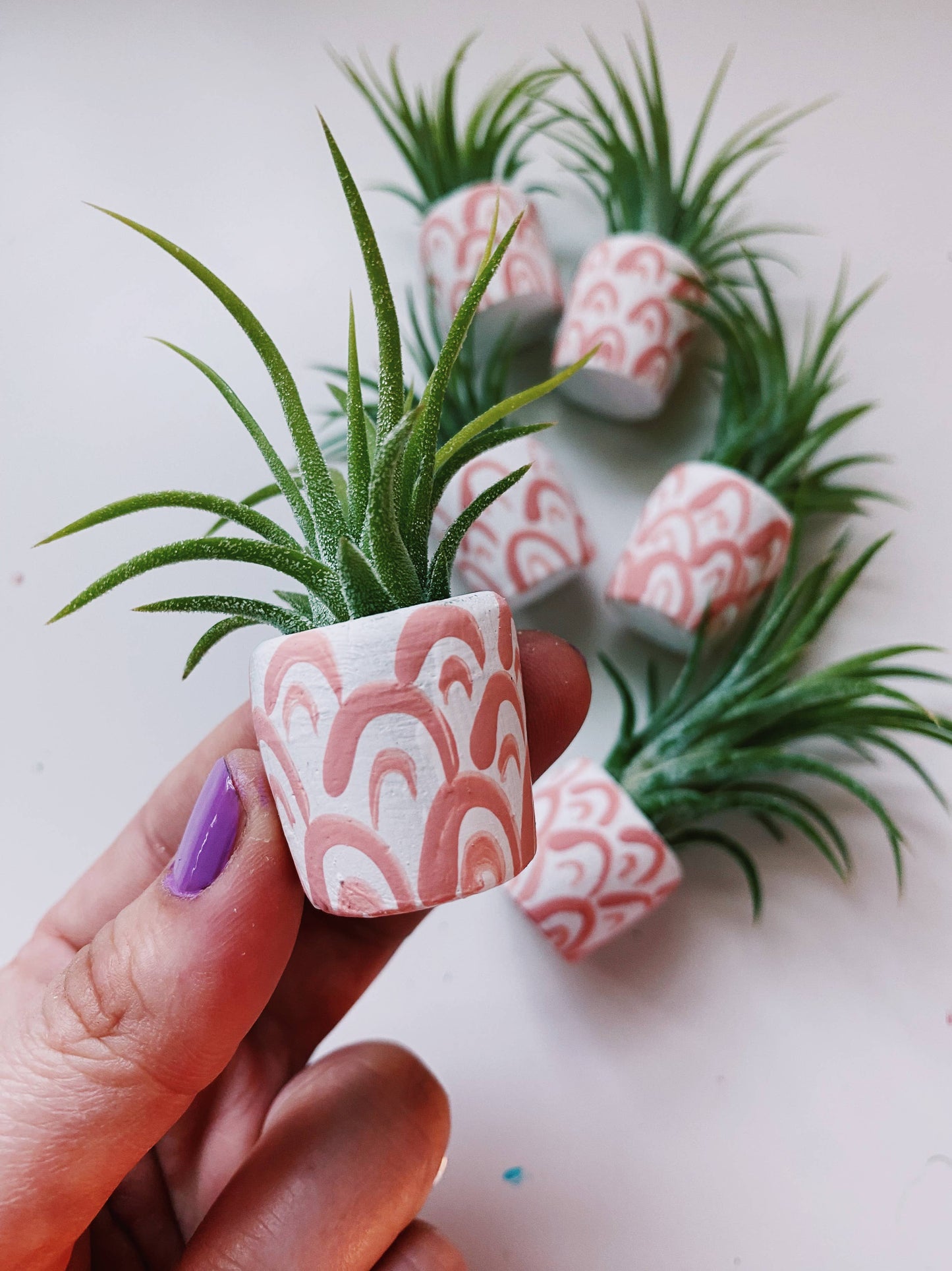 Pink Rainbows Mini Planter