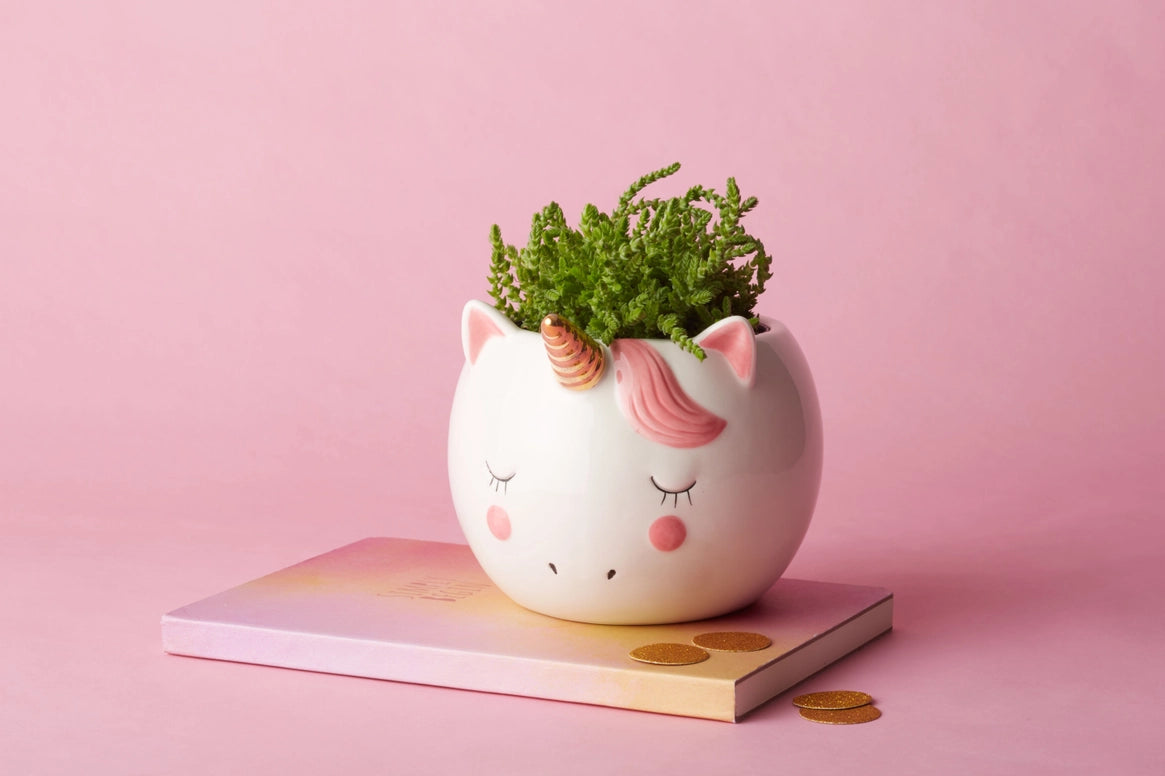 Unicorn Planter