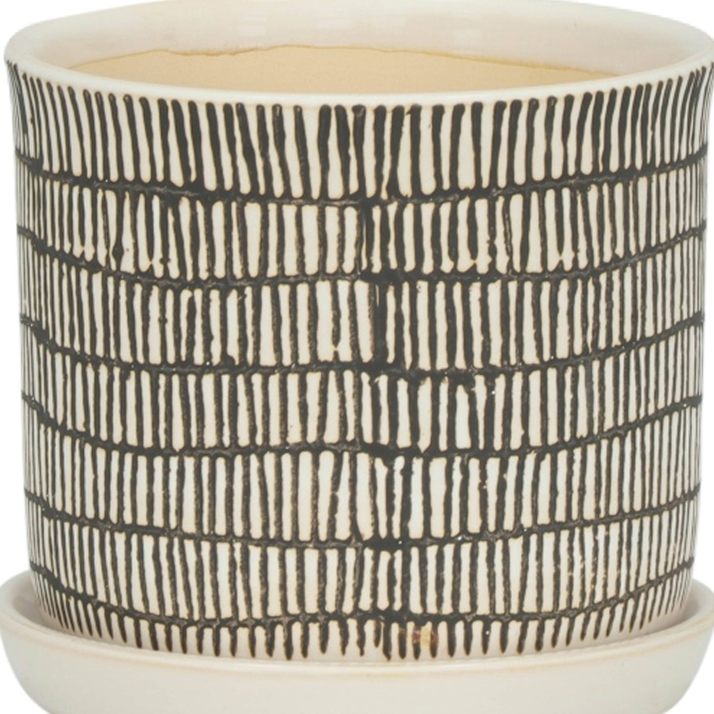Ivory w/ Saucer 8"