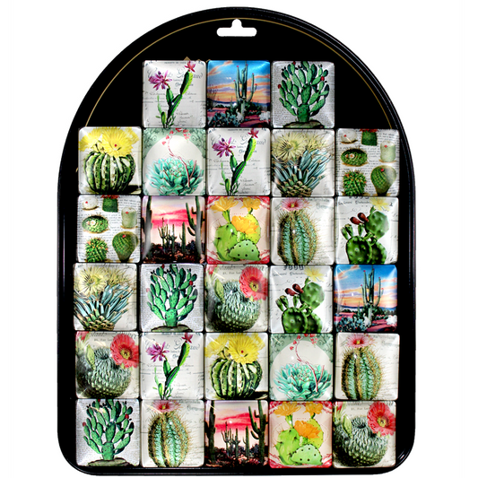 Desert Beauty Cactus Magnets