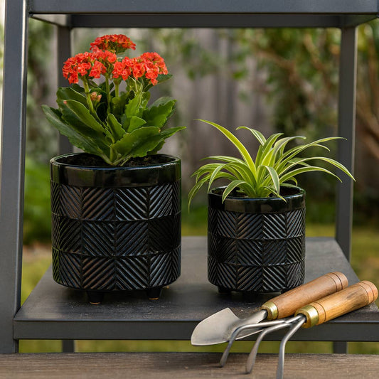 - Black Ceramic pot 8”