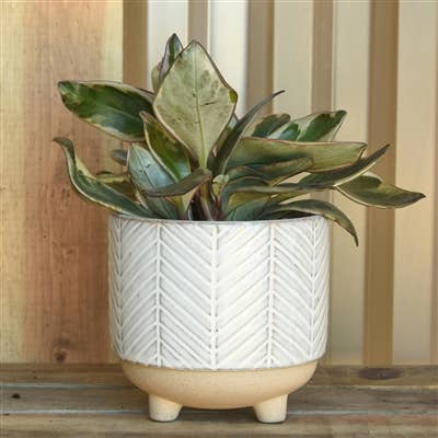 Ramos Chevron 4"