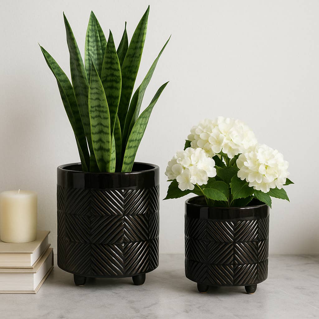 - Black Ceramic pot 8”