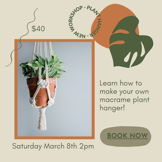 DIY Macrame Plant Hanger 3/8 2pm