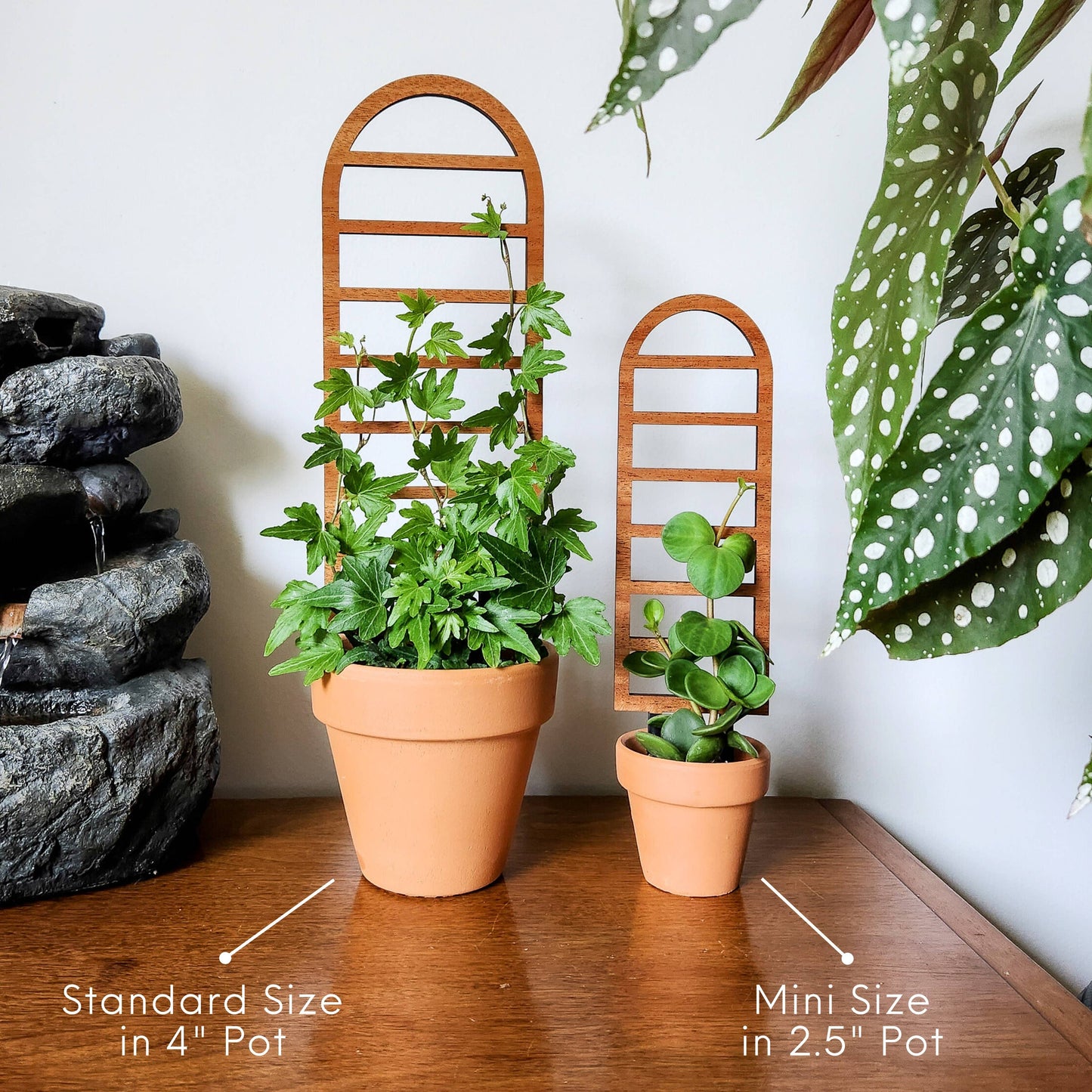 Ladder-Style Arch Trellis : Mini (9.5" tall for 2-3" pots)