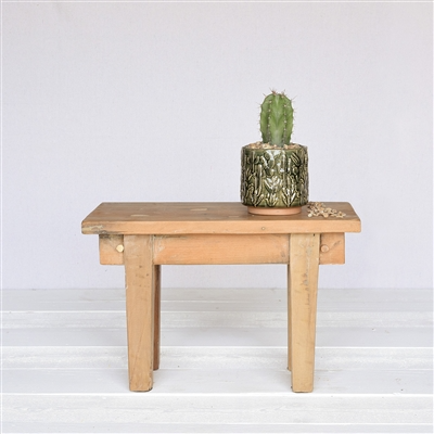 Cactus Motif Sm