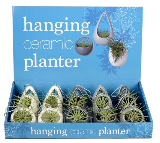 Mini Air Planters