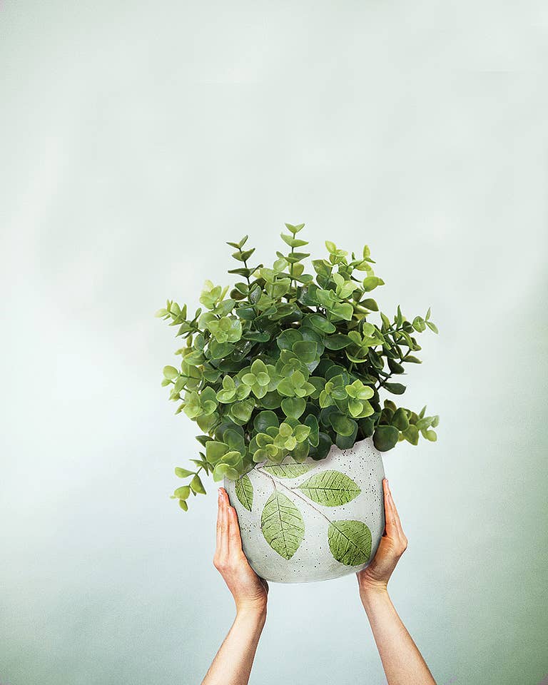 Leaf Planter